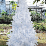 ต้นคริสต์มาส 8 ft. (2.43 m.) สีขาว