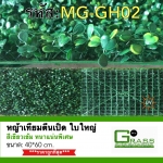 หญ้าตีนเป็ดหนาแน่นพิเศษ(40x60cm.)