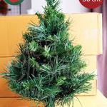 ต้นคริสต์มาส 1 ft. (30 cm.) สีเขียว