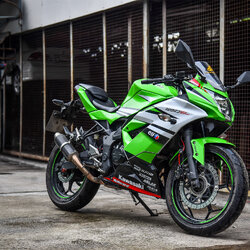 สายHEL KAWASAKI NINJA250SL เดินทางเดิม หน้า-หลัง สายสีแดง หัวเบนโจสีทอง