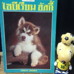 ไซบีเรียน ฮัสกี้