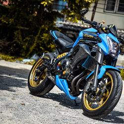 สายHEL KAWASAKI ER6N เดินทางเดิม หลัง สายCARBON ข้อต่อEARL'S หัวเบนโจสีแดง