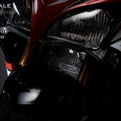 การ์ดหม้อน้ำ LEON FOR SUZUKI GSX-S1000