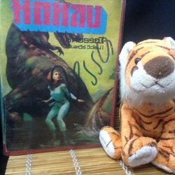 มิติหลง