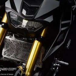 การ์ดหม้อน้ำ LEON FOR YAMAHA M-SLAZ รุ่น ORIGINALE