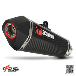 Kawasaki ninja 300 2012 slip-on serket taper carbon