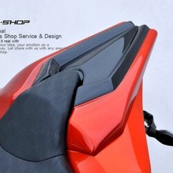 ครอบท้ายบาะ ERMAX FOR KAWASAKI Z1000