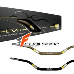 Hand Protaper Evo Fatbar