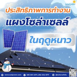 🌤️ ประสิทธิภาพการทำงานของแผงโซล่าเซลล์ในฤดูหนาวเป็นอย่างไร ❗❗