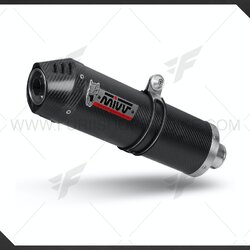 ท่อมอเตอร์ไซค์ MIVV OVAL CARBON WITH CARBON CAP FOR SUZUKI SV650 2016+ ท่อแต่ง ท่อสูตร ท่อบิ๊กไบค์ ท่อBigbike ท่อไอเสีย