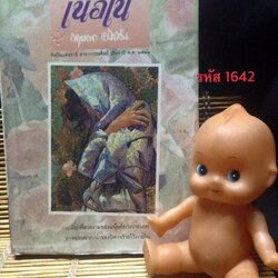 เนื้อใน