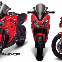 ZEROGRAVITY- Kawasaki Ninja650-2013