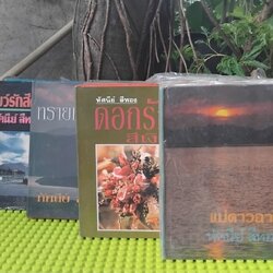 รวมผลงานของ ทัศนีย์ สีทอง นวนิยายไทย หนังสือมือ 1 ทุกเล่ม ไม่มีตำหนิ