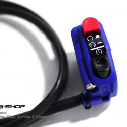 Switch off run Domino