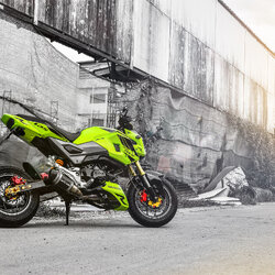 งานทำสี HONDA MSX125 สีเขียวมะนาว