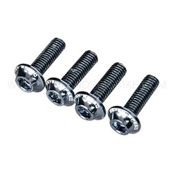 น็อตแฟริ่ง SVEN SPEED สี ไทเทเนี่ยม FOR KAWASAKI Z800