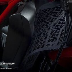 การ์ดหม้อน้ำ มอเเตอร์ไซค์ บิ๊กไบค์ LEON FOR DUCATI MONSTER821