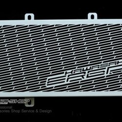 การ์ดหม้อน้ำ มอเเตอร์ไซค์ บิ๊กไบค์ er6n