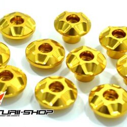 ชุดบู๊ชรองน๊อต ทอง