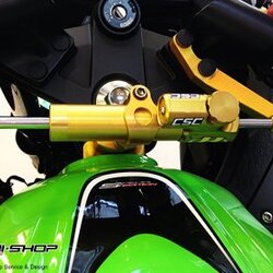 ขาจับกันสะบัด RSV for NINJA250 NINJA300