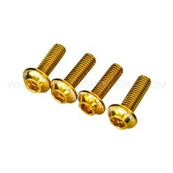 น็อตแฟริ่ง SVEN SPEED สีทอง FOR KAWASAKI Z800