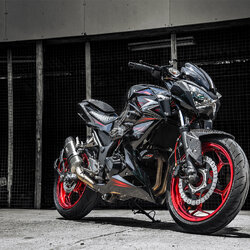 สายHEL KAWASAKI Z300 เดินทางเดิม หน้า-หลัง สายสีแดง หัวเบนโจสีเงิน