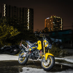สายHEL HONDA MSX125 เดินทางเดิม หน้า-หลัง สายCARBON หัวเบนโจสีทอง