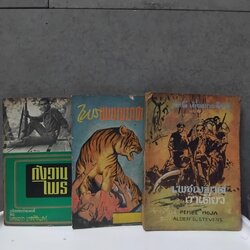 นวนิยายไทยแนวบุกป่า ผ่าดง ผจญภัยตื่นเต้น ขายแยกเล่มครับ