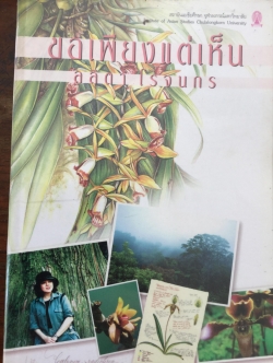 ขอเพียงแต่เห็น เรื่องและภาพวาด ที่แสดงให้เห็นธรรมชาติที่ต้องการอนุรักษ์พันธุ์ไม้ในเอเซียโดยเฉพาะกล้วยไม้ที่หายากและใกล้สูญพันธุ์ ผู้เขียน ลลิตา โรจนกร สถาบันเอเซียศึกษา จุฬาลงกรณ์มหาวิทยาลัย 2,500 กรัม