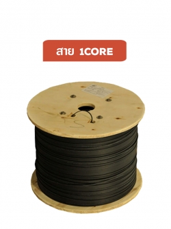 สายไฟเบอร์ 2 Core
