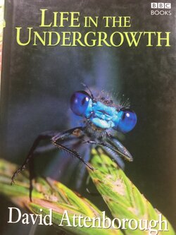 LIFE IN. THE UNDERGROWTH. ผู้เขียน David. Attenborough 0 กก.