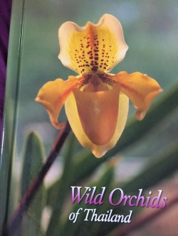 Wild Orchids of Thailand 0 กก.