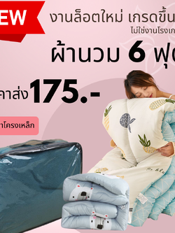ผ้านวม พร้อมกระเป๋าโครงเหล็ก 175 บ. ส่ง 40 ผืน ผ้านวม6ฟุต รุ่น ผ้านวมหนา 6 ฟุต ผ้าห่มนวม ใยเต็มผืน ผ้าห่มนวม ราคาถูก