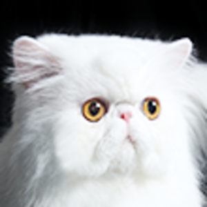 ผลิตภัณฑ์กรูมมิ่งส่วนใบหน้า