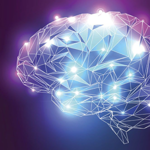 หนังสือ จิตวิทยา และการพัฒนาตัวเอง