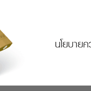 นโยบายคุ้มครองความเป็นส่วนตัว