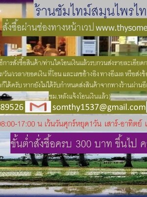 ร้านซัมไทม์สมุนไพรไทย