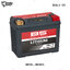 BS Battery รุ่น BSLI-12 LITHIUM