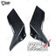 ปีกบน RPM Carbon Upper Winglets : for Kawasaki H2/H2R 2019+