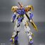 Amplified IMGN Ryujin Maru (HG) (Plastic model)