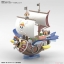Thousand Sunny Flying Model