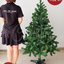 ต้นคริสต์มาส 5 ft. (1.52 m.) สีเขียว