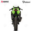 ท่อแต่ง Akrapovic Carbon : for Kawasaki ZX4R 2023