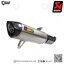 การ์ดท่อ Akrapovic Carbon Heat Guard : for Yamaha XMax300 2017-2020/All new euro5 2021-2022