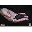ซิลิโคนหุ้มกุญแจ KAWASAKI V2 สีดำ FOR Z1000
