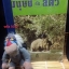 มนุษย์กับสัตว์ (Man and Animals)