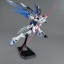 Freedom Gundam Ver.2.0 (MG) (Gundam Model Kits)