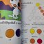 ทฤษฎีสีเบื้องต้น โดย เสน่ห์ ธนารัตน์สฤษดิ์ ตำราความรู้เรื่องสี อธิบายด้วยภาษาแบบไทย เข้าใจง่าย กระชับ
