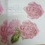 กุหลาบวาดง่ายแต่เนี๊ยบ