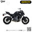 ท่อมอเตอร์ไซค์ Arrow Moto GP: for Kawasaki Z650 2017-2019/ Ninja650 2017-2019